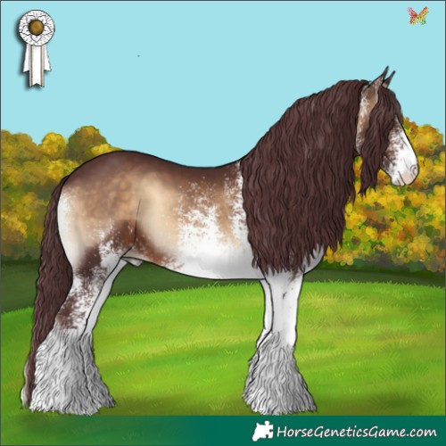 Horse Color:White Spotted Chocolate Brown Onyx 