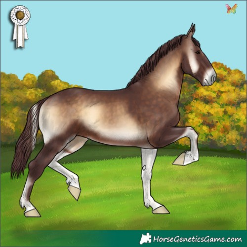 Horse Color:Chocolate Brown Onyx 