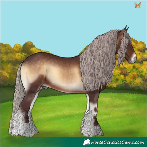Horse Color:Chocolate Silver Brown Onyx 