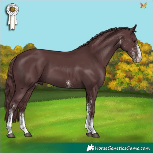Horse Color:White Spotted Chocolate Black 