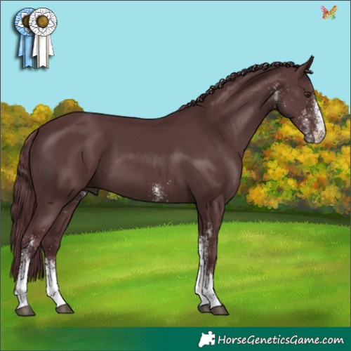 Horse Color:White Spotted Chocolate Black 