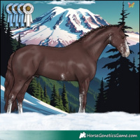 Horse Color:White Spotted Chocolate Black