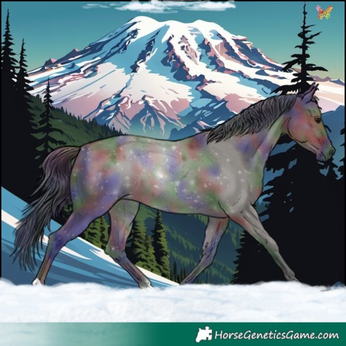 Horse Color:Nacre Grullo 
