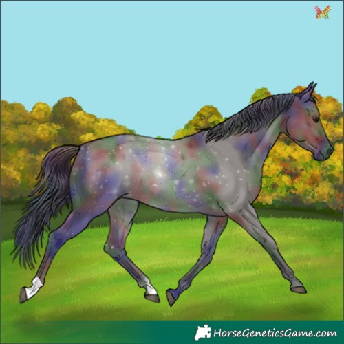 Horse Color:Nacre Grullo 