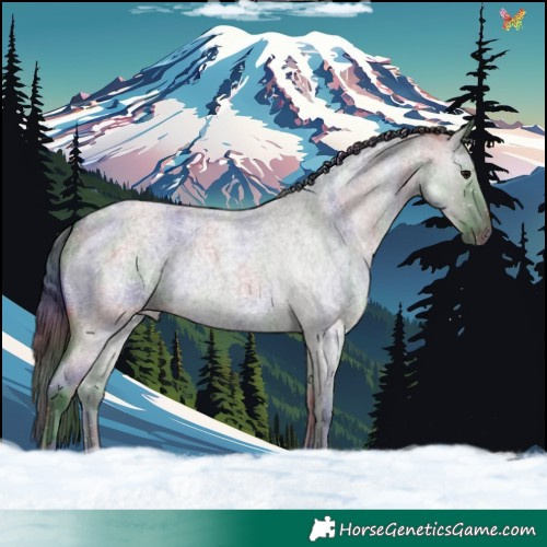 Horse Color:Nacre Grullo Roan 