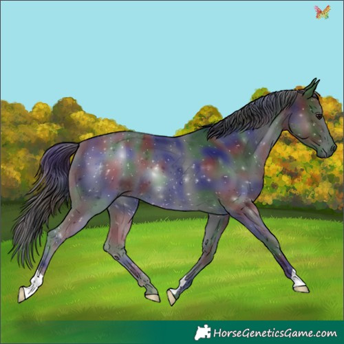 Horse Color:Nacre Black 