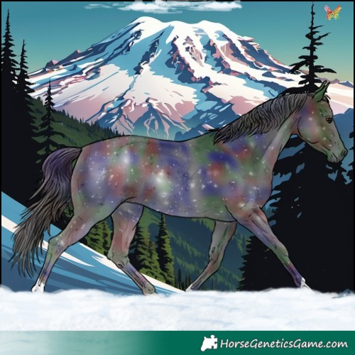 Horse Color:Nacre Black 