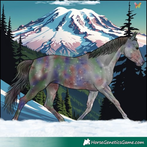 Horse Color:Nacre Black 