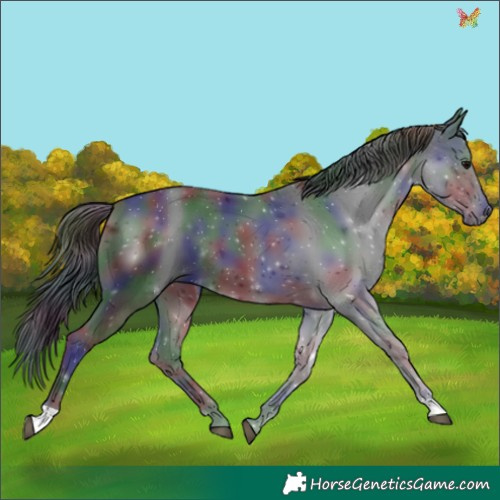 Horse Color:Nacre Black 