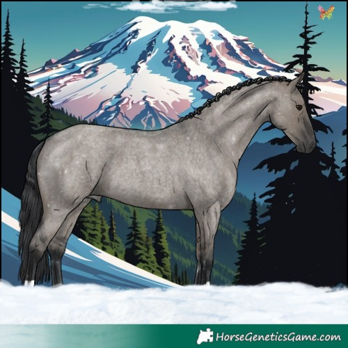 Horse Color:Grullo Roan 