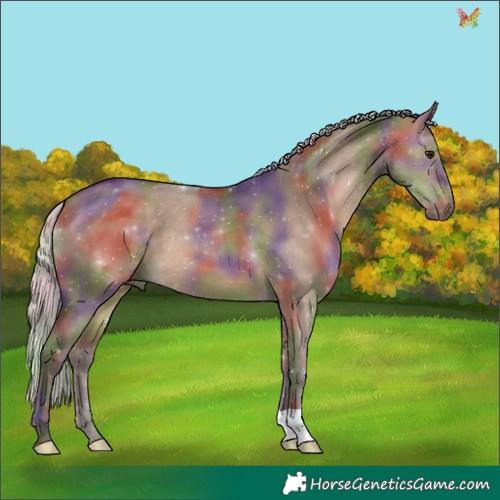 Horse Color:Nacre Silver Brown Dun 