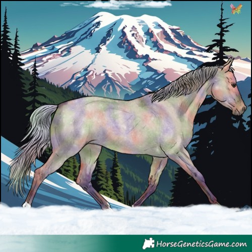 Horse Color:Nacre Silver Brown Roan Dun 