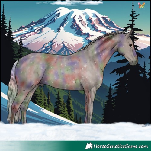 Horse Color:Nacre Silver Black 