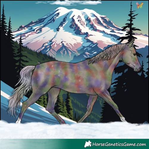 Horse Color:Nacre Silver Black 