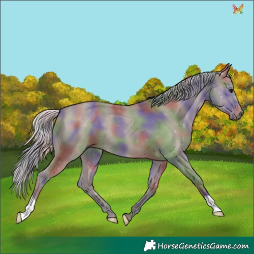 Horse Color:Nacre Silver Grullo 