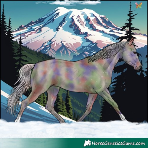 Horse Color:Nacre Silver Grullo 