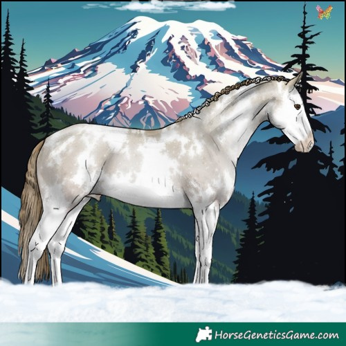 Horse Color:White Spotted Grullo Pearl Splash 