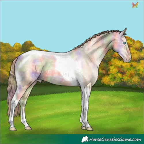 Horse Color:Nacre Smoky Black Ice Pearl Tobiano 