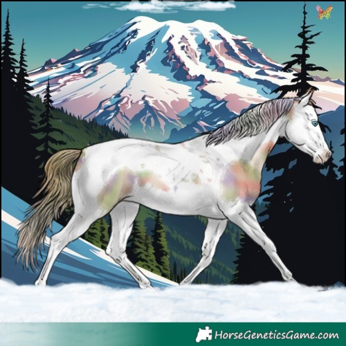 Horse Color:Nacre Grullo Pearl Splash Tobiano 