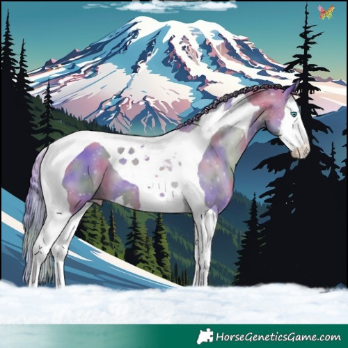 Horse Color:Nacre Black Pearl Splash Tobiano 