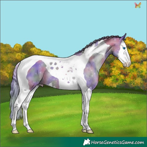 Horse Color:Nacre Black Pearl Splash Tobiano 