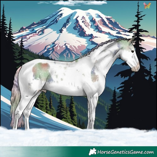 Horse Color:Nacre Silver Grullo Splash Tobiano 