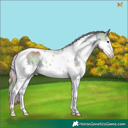 Horse Color:Nacre Silver Grullo Splash Tobiano 