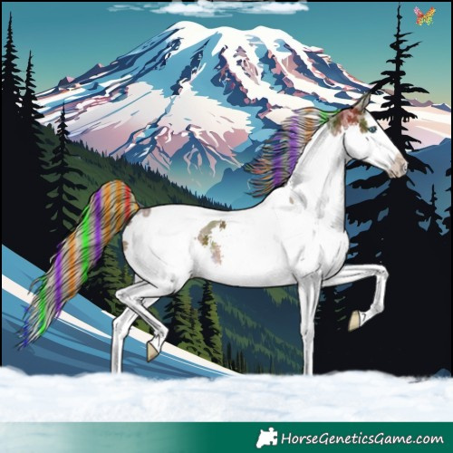 Horse Color:Painted Nacre Liver Chestnut Sabino Splash Tobiano 