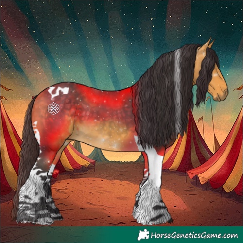 Horse Color:Buckskin Tobiano 