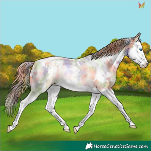 Horse Color:Nacre White Spotted Buckskin Pearl Dun Splash 