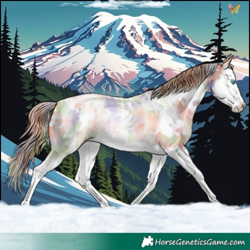 Horse Color:Nacre White Spotted Buckskin Pearl Dun Splash 