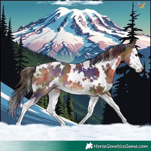 Horse Color:Nacre White Spotted Bay Splash 