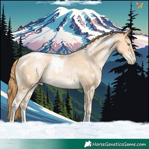 Horse Color:White Spotted Buckskin Pearl 