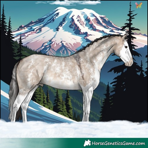 Horse Color:Brown Ice Dun Sabino Splash 
