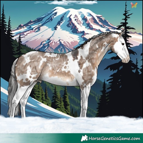 Horse Color:White Spotted Brown Ice Dun Splash 