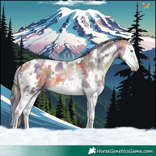Horse Color:Nacre White Spotted Bay Ice Dun Splash 