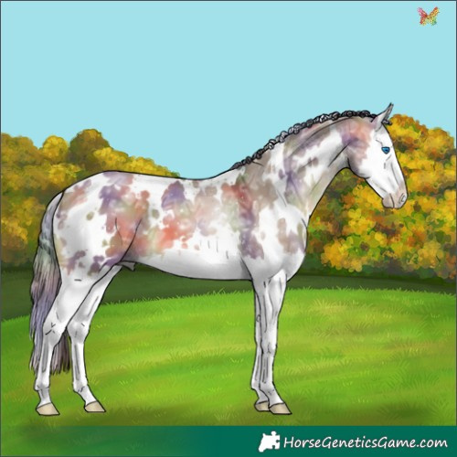 Horse Color:Nacre White Spotted Bay Ice Dun Splash 