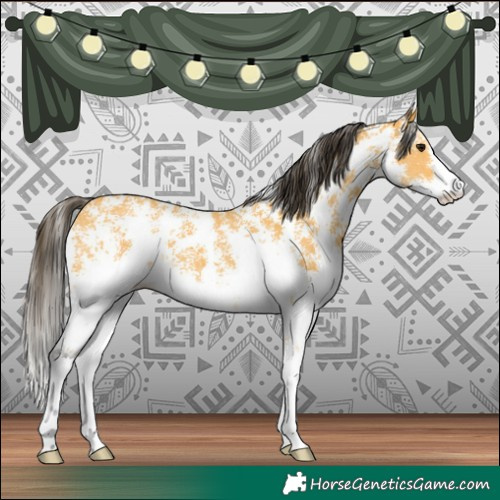 Horse Color:Buckskin Sabino 