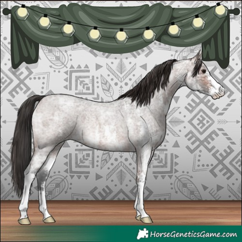 Horse Color:Brown Ice Roan Sabino Rabicano 