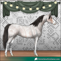 Horse Color:Brown Ice Roan Sabino Rabicano 