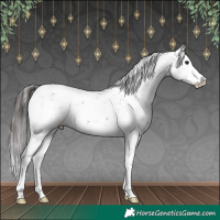 Horse Color:Brown Sabino Splash Appaloosa 