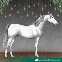 Horse Color:Brown Sabino Splash Varnish 