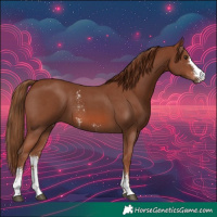 Horse Color:Chestnut Sabino