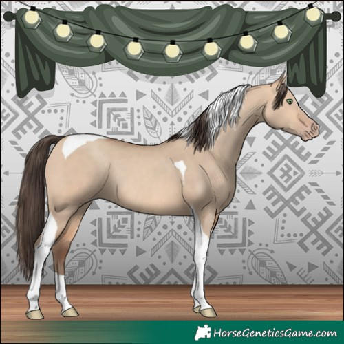 Horse Color:Amber Champagne Dun Tobiano Rabicano 
