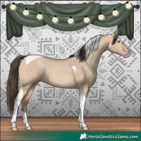 Horse Color:Amber Champagne Dun Tobiano Rabicano 