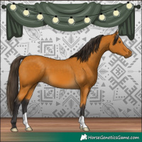 Horse Color:Buckskin 