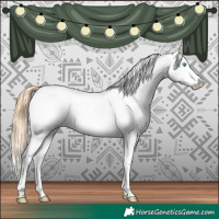 Horse Color:White Spotted Buckskin Pearl Snowcap 