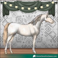 Horse Color:White Spotted Buckskin Pearl Appaloosa 