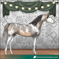 Horse Color:White Spotted Buckskin Roan Splash Appaloosa 