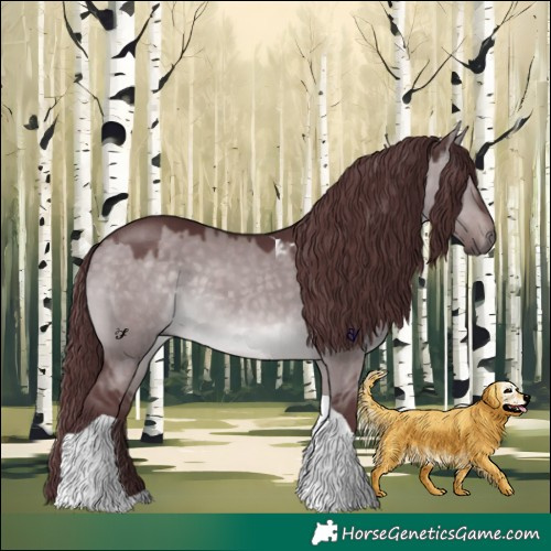 Horse Color:Platinum Chocolate Brown Dun Tobiano 